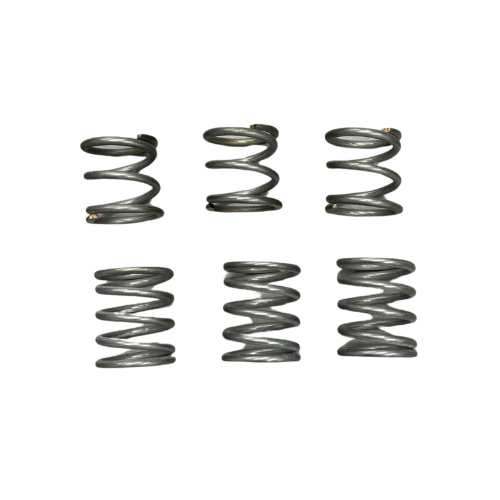 Six Booster Springs